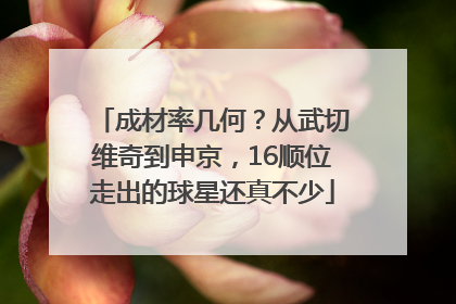 成材率几何？从武切维奇到申京，16顺位走出的球星还真不少