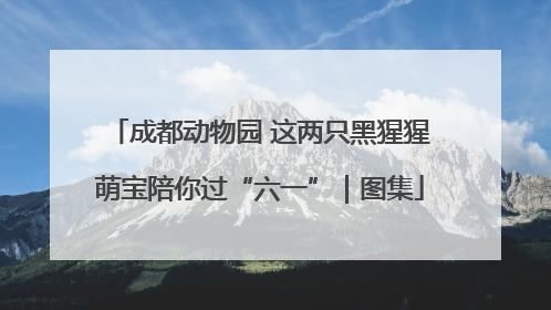 成都动物园 这两只黑猩猩萌宝陪你过“六一”｜图集