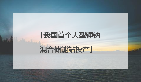 我国首个大型锂钠混合储能站投产