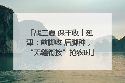 战三夏 保丰收丨延津：前脚收 后脚种，“无缝衔接”抢农时