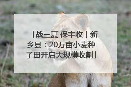 战三夏 保丰收丨新乡县：20万亩小麦种子田开启大规模收割