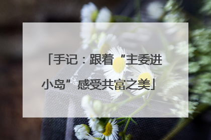 手记：跟着“主委进小岛”感受共富之美