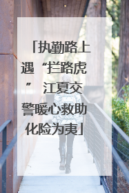 执勤路上遇“拦路虎” 江夏交警暖心救助化险为夷