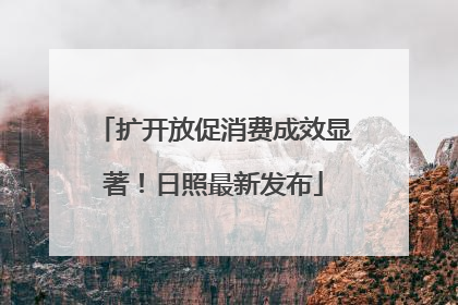 扩开放促消费成效显著！日照最新发布