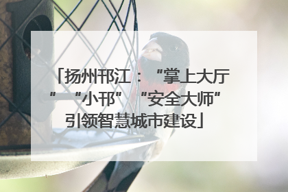 扬州邗江：“掌上大厅”“小邗”“安全大师”引领智慧城市建设