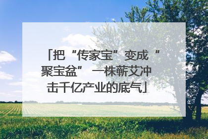 把“传家宝”变成“聚宝盆” 一株蕲艾冲击千亿产业的底气
