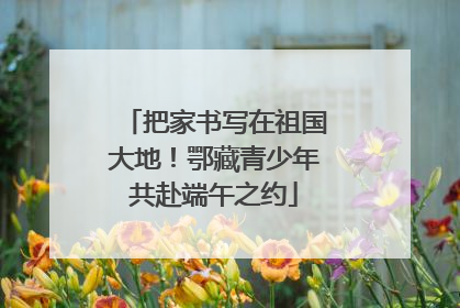 把家书写在祖国大地！鄂藏青少年共赴端午之约