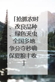 抢抓农时、改良品种、绿色灭虫 全国多地争分夺秒确保夏粮丰收