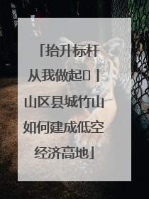 抬升标杆 从我做起⑭丨山区县城竹山如何建成低空经济高地