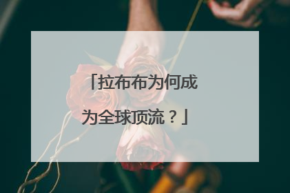 拉布布为何成为全球顶流？