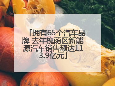 拥有65个汽车品牌 去年槐荫区新能源汽车销售额达113.9亿元