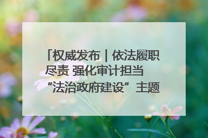 权威发布｜依法履职尽责 强化审计担当 “法治政府建设”主题系列新闻发布会市审计局专场召开
