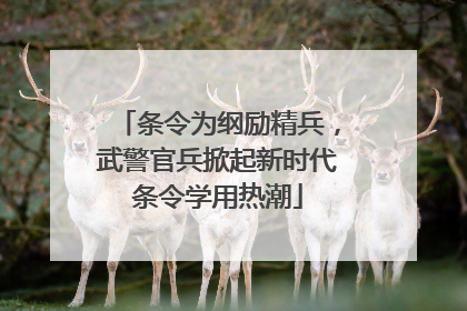 条令为纲励精兵，武警官兵掀起新时代条令学用热潮