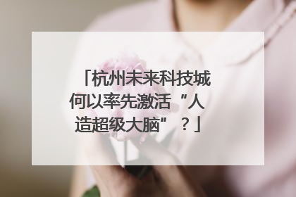 杭州未来科技城何以率先激活“人造超级大脑”？