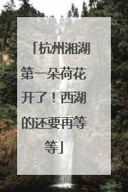 杭州湘湖第一朵荷花开了！西湖的还要再等等