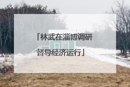 林武在淄博调研督导经济运行