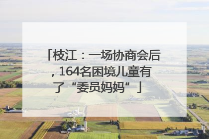 枝江：一场协商会后，164名困境儿童有了“委员妈妈”