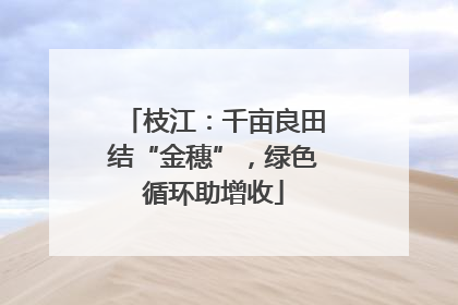 枝江：千亩良田结“金穗”，绿色循环助增收