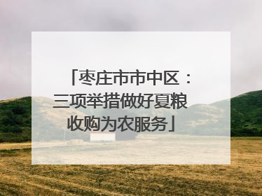 枣庄市市中区：三项举措做好夏粮收购为农服务