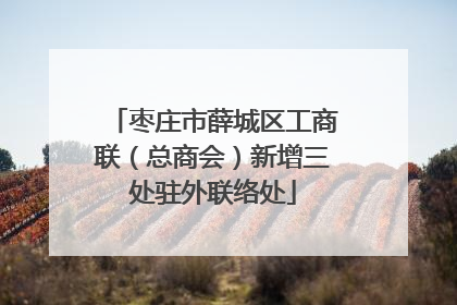 枣庄市薛城区工商联（总商会）新增三处驻外联络处