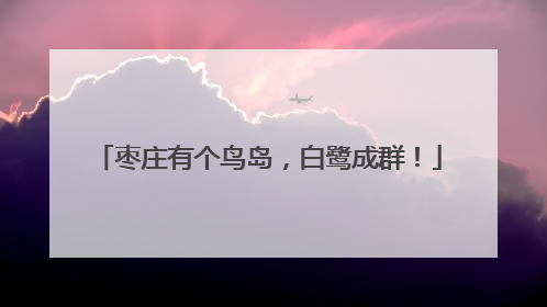 枣庄有个鸟岛，白鹭成群！