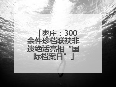 枣庄：300余件珍档联袂非遗绝活亮相“国际档案日”