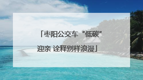 枣阳公交车“低碳”迎亲 诠释别样浪漫