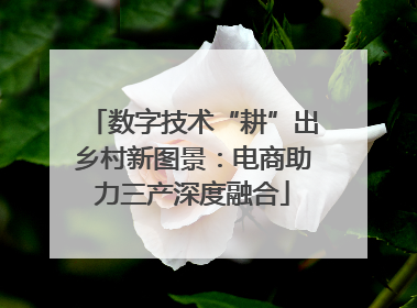 数字技术“耕”出乡村新图景：电商助力三产深度融合