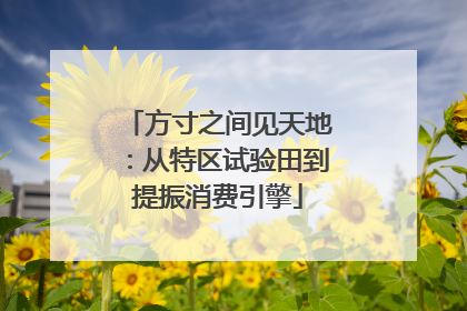 方寸之间见天地：从特区试验田到提振消费引擎