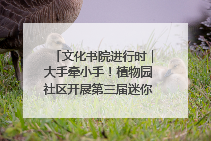 文化书院进行时｜大手牵小手！植物园社区开展第三届迷你马拉松活动