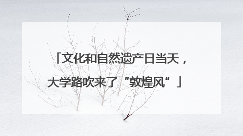 文化和自然遗产日当天，大学路吹来了“敦煌风”