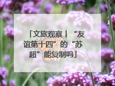 文旅观察丨“友谊第十四”的“苏超”能复制吗
