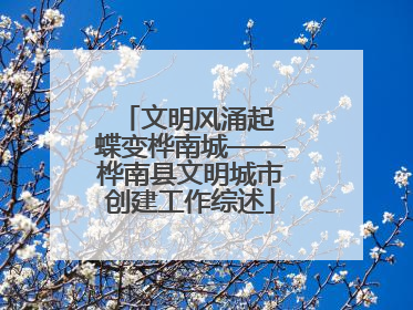 文明风涌起 蝶变桦南城——桦南县文明城市创建工作综述