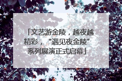 文艺游金陵，越夜越精彩，“遇见夜金陵”系列展演正式启幕