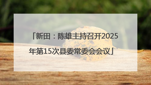 新田：陈雄主持召开2025年第15次县委常委会会议