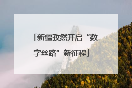 新疆孜然开启“数字丝路”新征程