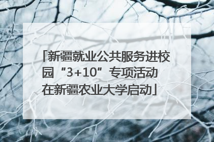 新疆就业公共服务进校园“3+10”专项活动在新疆农业大学启动
