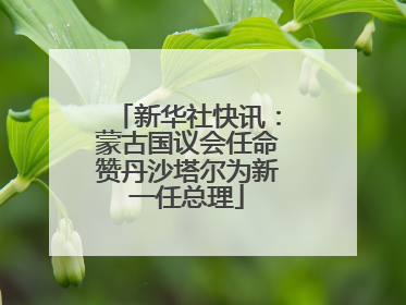 新华社快讯：蒙古国议会任命赞丹沙塔尔为新一任总理