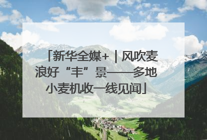 新华全媒+｜风吹麦浪好“丰”景——多地小麦机收一线见闻