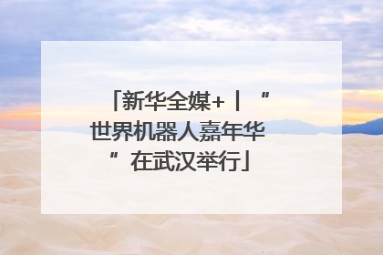 新华全媒+丨“世界机器人嘉年华”在武汉举行