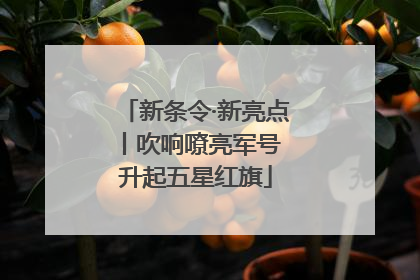 新条令·新亮点丨吹响嘹亮军号 升起五星红旗