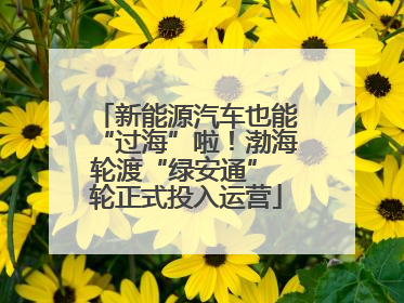 新能源汽车也能“过海”啦！渤海轮渡“绿安通” 轮正式投入运营
