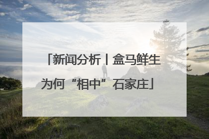 新闻分析丨盒马鲜生为何“相中”石家庄