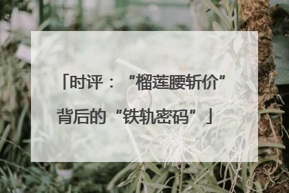 时评：“榴莲腰斩价”背后的“铁轨密码”