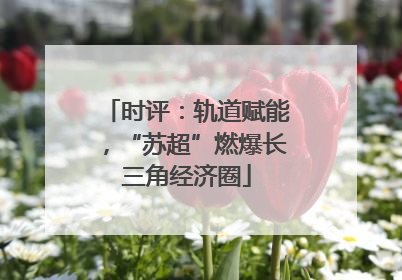 时评：轨道赋能，“苏超”燃爆长三角经济圈