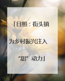 日照：街头镇为乡村振兴注入“甜”动力