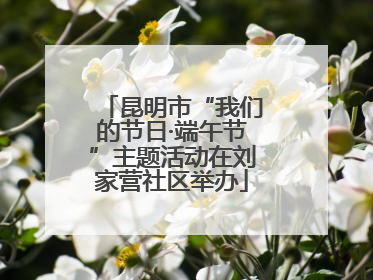 昆明市“我们的节日·端午节”主题活动在刘家营社区举办