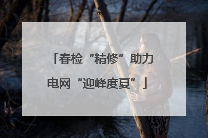春检“精修”助力电网“迎峰度夏”