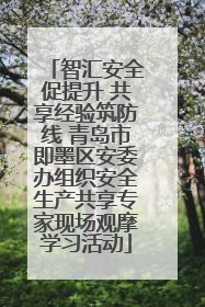 智汇安全促提升 共享经验筑防线 青岛市即墨区安委办组织安全生产共享专家现场观摩学习活动