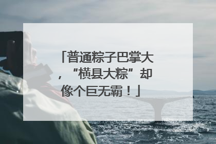 普通粽子巴掌大，“横县大粽”却像个巨无霸！
